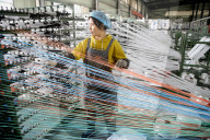 Packaging Company