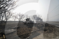 South Korea Forest Fire Aftermath