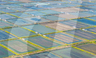 An Aquaculture Base in Suqian
