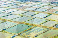 An Aquaculture Base in Suqian