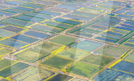 An Aquaculture Base in Suqian