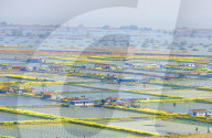 An Aquaculture Base in Suqian