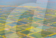 An Aquaculture Base in Suqian