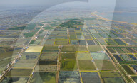 An Aquaculture Base in Suqian