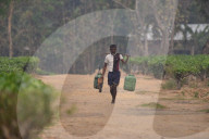 Dailylife In India 
