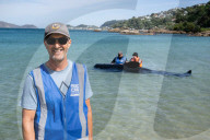 Fake dolphins and frantic digging: the army of helpers learning to rescue New Zealand's stranded whales.