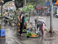 Street Vendor Sells Vegetables In Hanoi