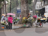 Street Vendors Sell Flowers In Hanoi