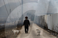 Wildfire Causes Severe Damage In North Gyeongsang, Continues For Days