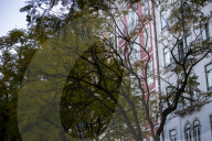  Tree Removal Plan Sparks Environmental Concerns