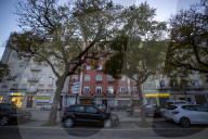  Tree Removal Plan Sparks Environmental Concerns