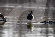 Wildlife At The Oxbow Nature Conservancy