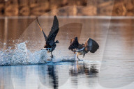Wildlife At The Oxbow Nature Conservancy