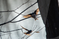Wildlife At The Oxbow Nature Conservancy