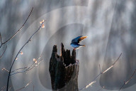 Wildlife At The Oxbow Nature Conservancy