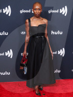 36th Annual GLAAD Media Awards Los Angeles