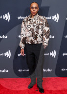 36th Annual GLAAD Media Awards Los Angeles