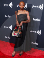 36th Annual GLAAD Media Awards Los Angeles