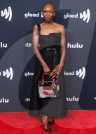 36th Annual GLAAD Media Awards Los Angeles