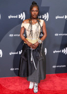 36th Annual GLAAD Media Awards Los Angeles