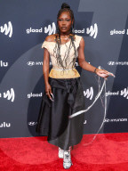 36th Annual GLAAD Media Awards Los Angeles