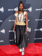 36th Annual GLAAD Media Awards Los Angeles
