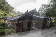 South Korea Forest Fire
