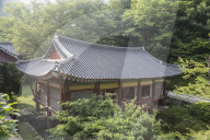 South Korea Forest Fire