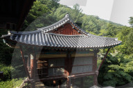 South Korea Forest Fire