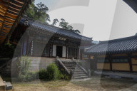 South Korea Forest Fire