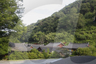 South Korea Forest Fire