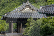 South Korea Forest Fire