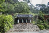 South Korea Forest Fire