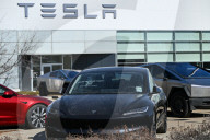 Protest Against Elon Musk At Edmonton Tesla Dealership