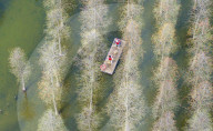 Water Forest Tour in Suqian