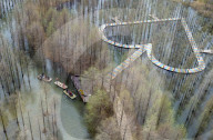 Water Forest Tour in Suqian