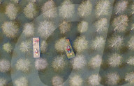 Water Forest Tour in Suqian