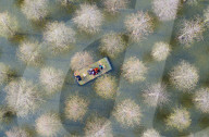 Water Forest Tour in Suqian