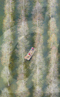 Water Forest Tour in Suqian