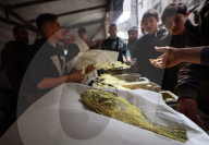 Daily Life In Gaza
