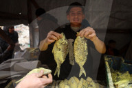 Daily Life In Gaza