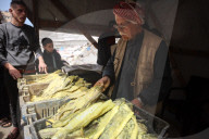 Daily Life In Gaza