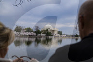 Washington DC Cherry Blossoms Time Of The Year 