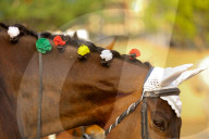 Nepal Celebrates “Ghode Jatra”, The Horse Racing Day