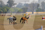 Nepal Celebrates “Ghode Jatra”, The Horse Racing Day