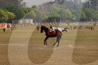 Nepal Celebrates “Ghode Jatra”, The Horse Racing Day