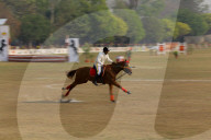 Nepal Celebrates “Ghode Jatra”, The Horse Racing Day