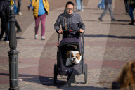 Warsaw Daily Life