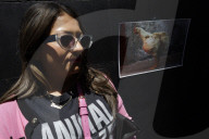 Vegan Protest And Vigil In Mexico City