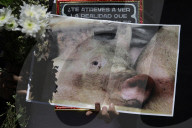 Vegan Protest And Vigil In Mexico City